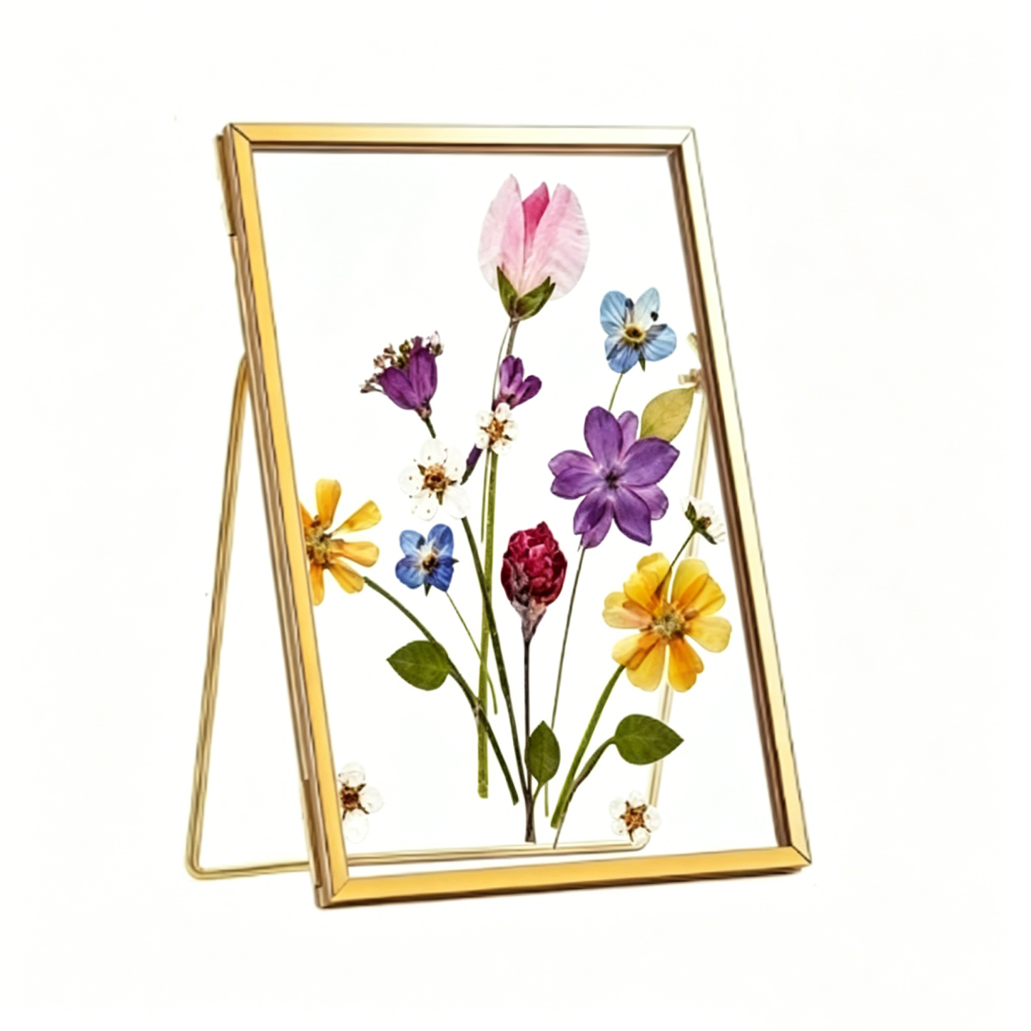 Pressed Flowers Double Multi Style Glass Frame For Plant Bouquet Specimen Tabletop Display(FRAME ONLY)