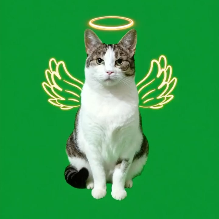 3D Pet Holographic House Custom Pet Memorial Display Crystal-Clear Holographic Image