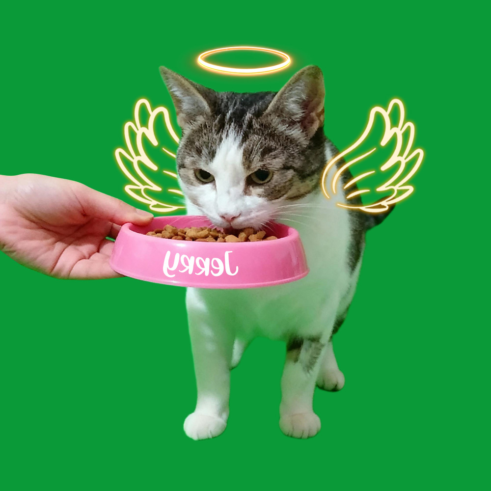 Halo Wings Feeding Scenes(40s/60s included) - 