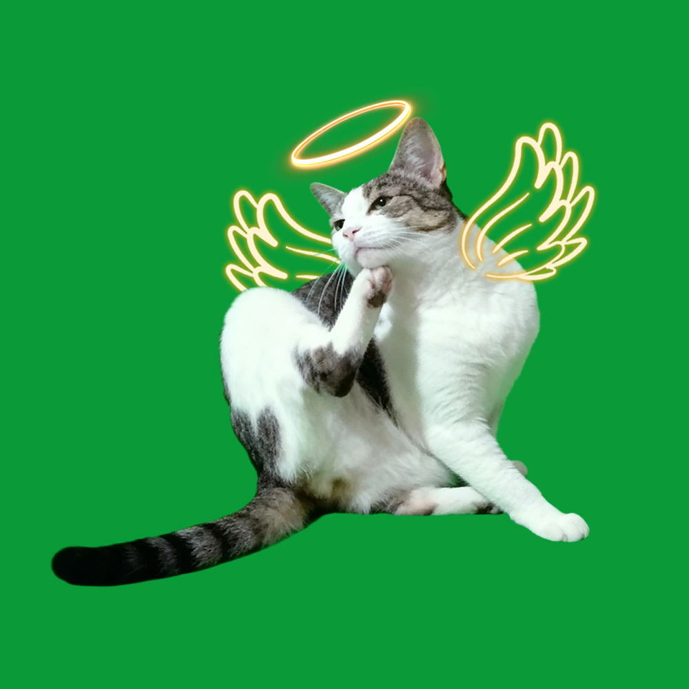 Halo Wings Scratching Scenes - 