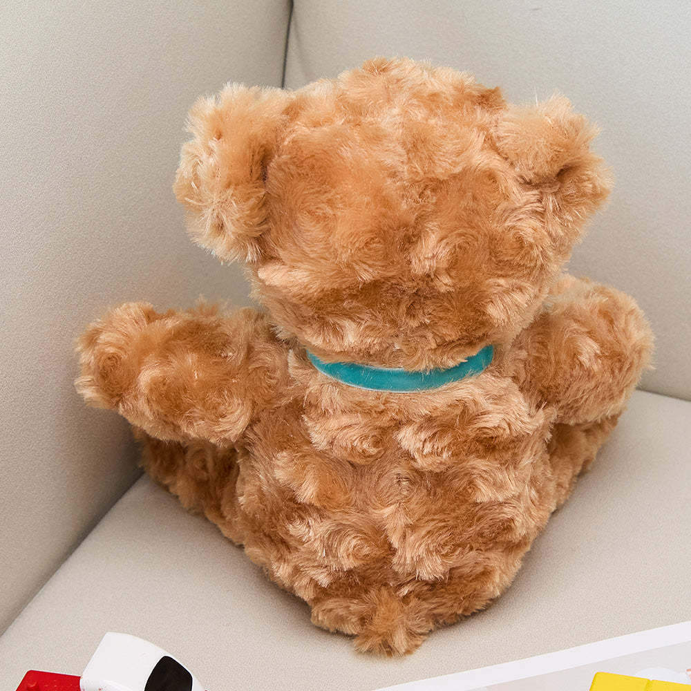 Personalized Bear Plush Birth Stats Stuffed Animal Birth Announcement Gifts -