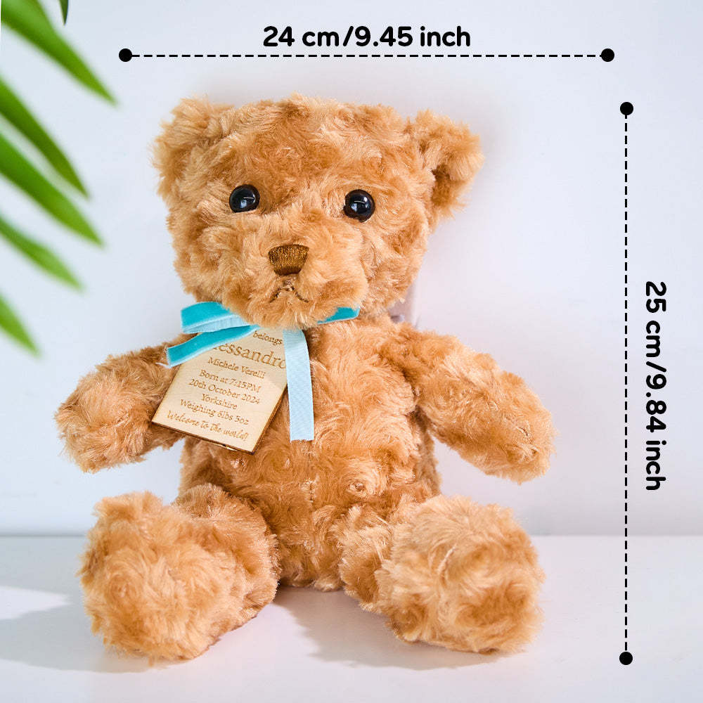 Personalized Bear Plush Birth Stats Stuffed Animal Birth Announcement Gifts -