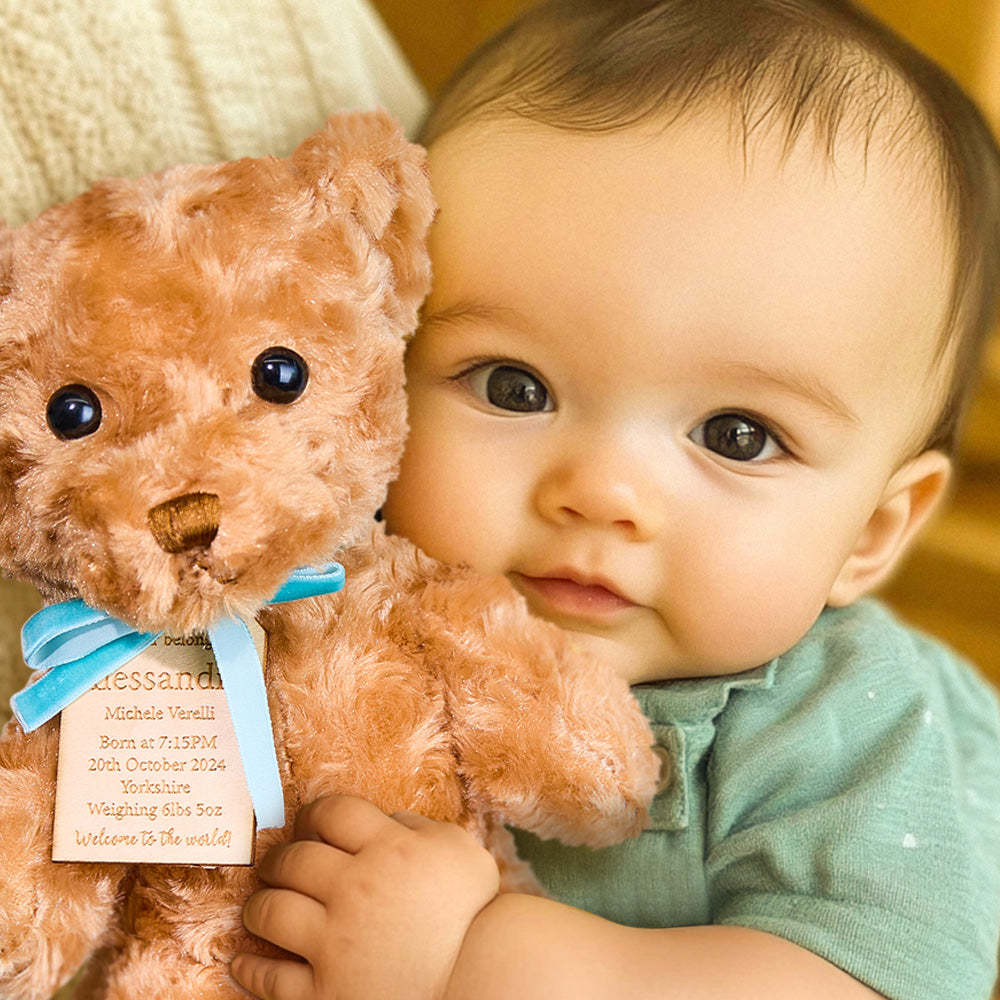 Personalized Bear Plush Birth Stats Stuffed Animal Birth Announcement Gifts -