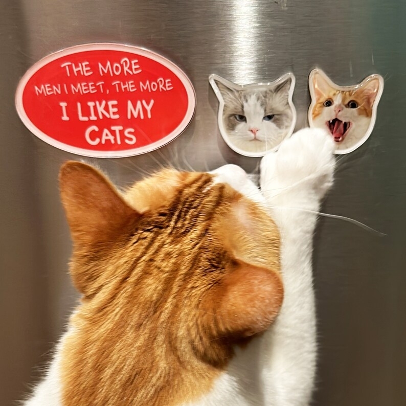 Personalized Pet Photo Acrylic Fridge Magnets Custom Image Keepsake