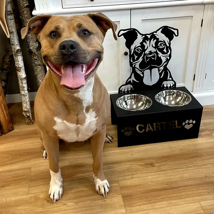 Pitbull Personalized Name Pet Food Bowl Holder