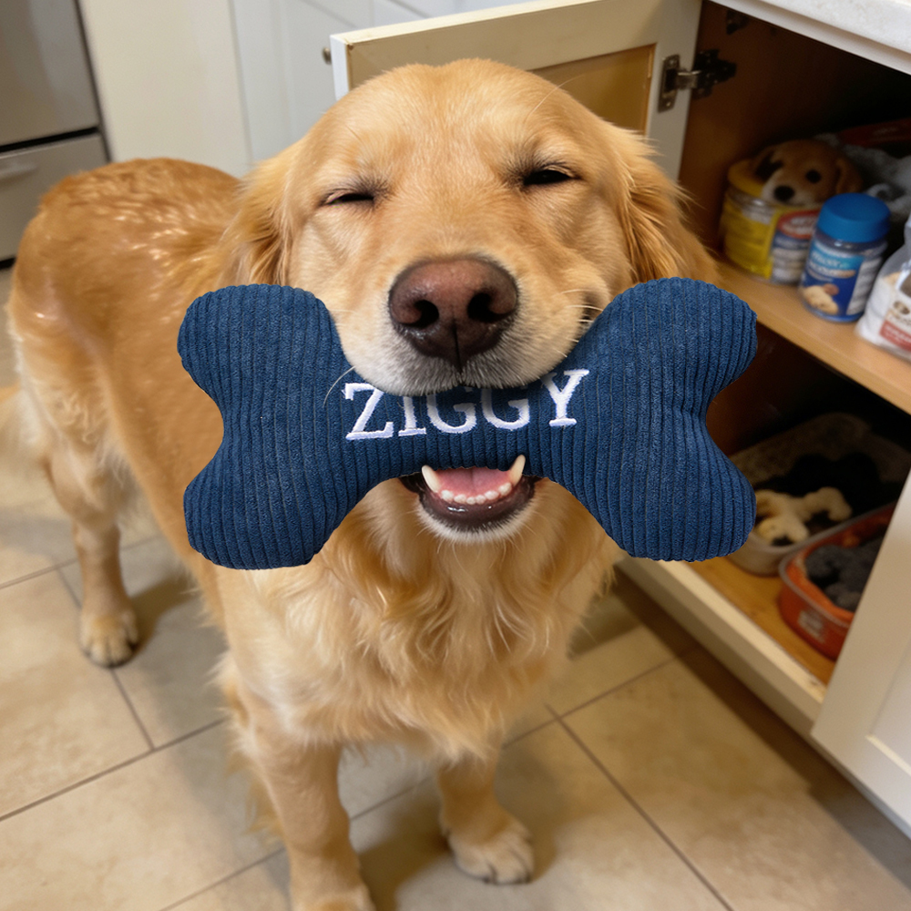 Personalized Dog Bone Toy: Embroidered Wool Blend Puppy Gift - 