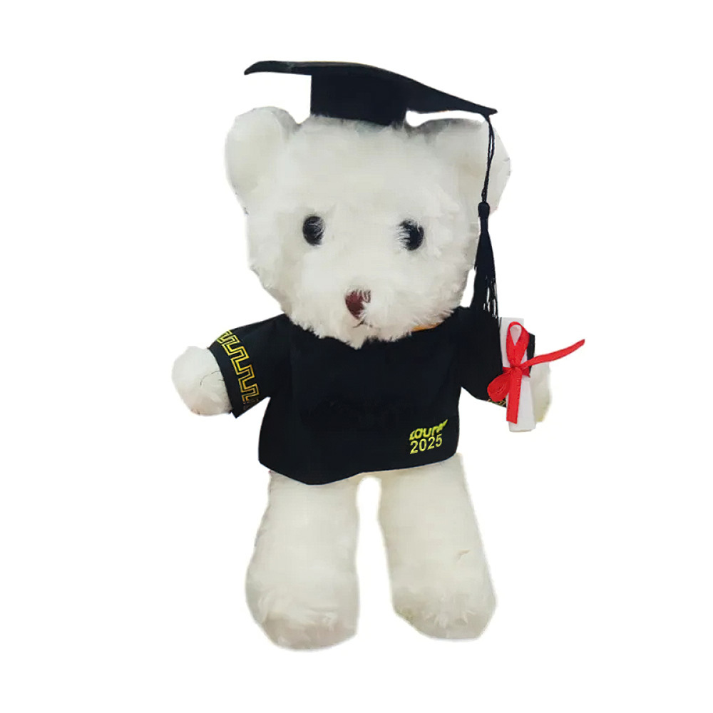 Graduation Gifts Graduation Bears Custom Plush Stuffed Animal Bear for Graduates