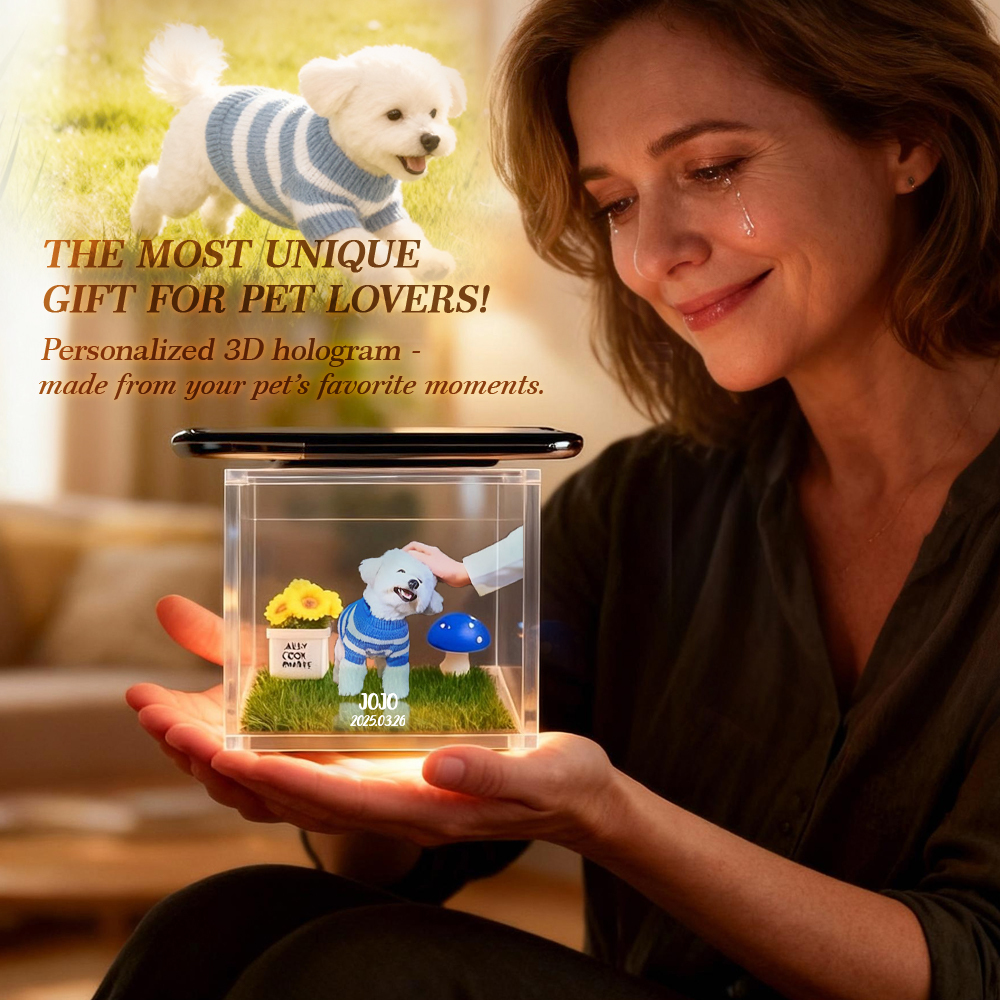 3D Pet Holographic House Custom Pet Memorial Display Crystal-Clear Holographic Image - 