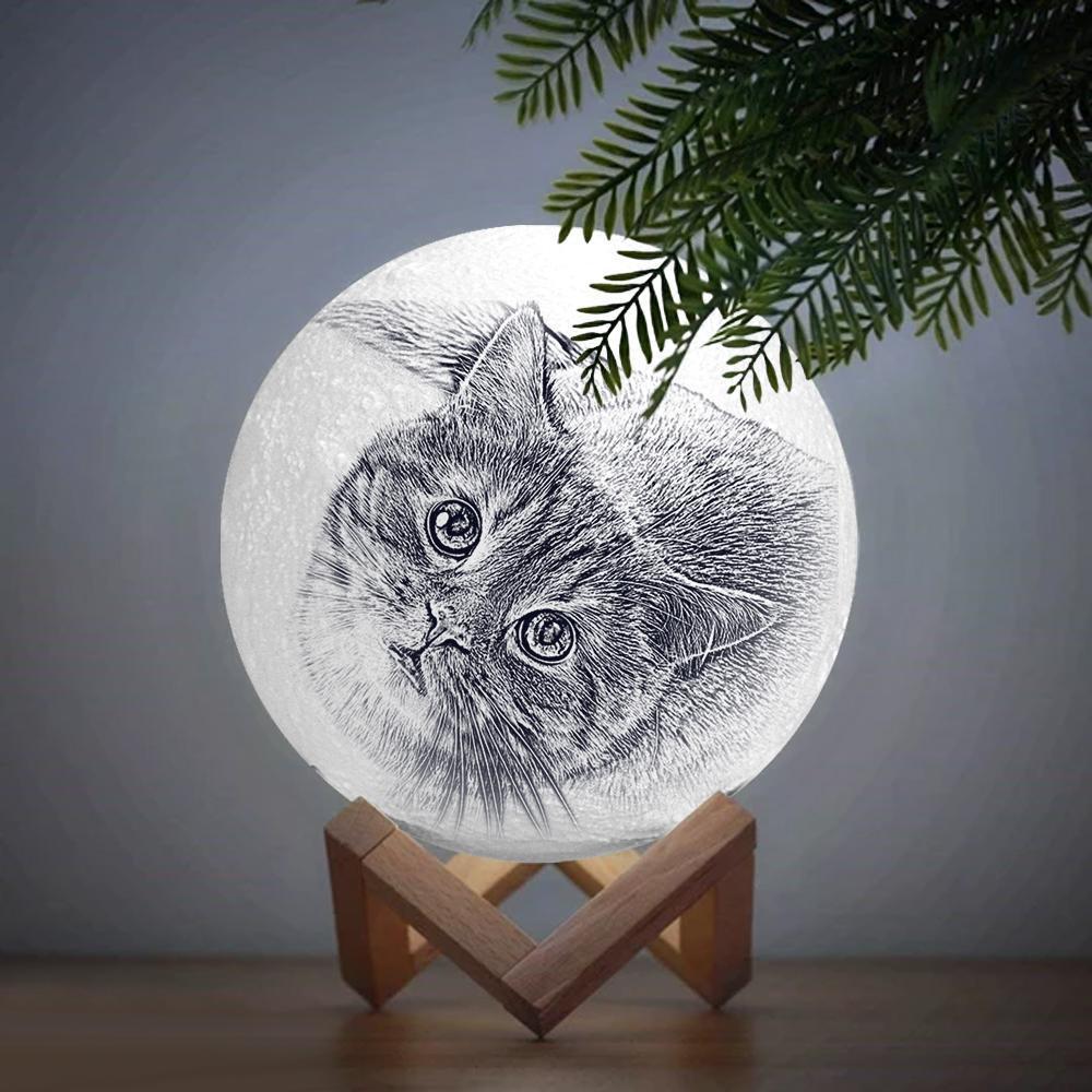 Personalized Engraved 3D Photo Moon Lamp for Pet Lovers