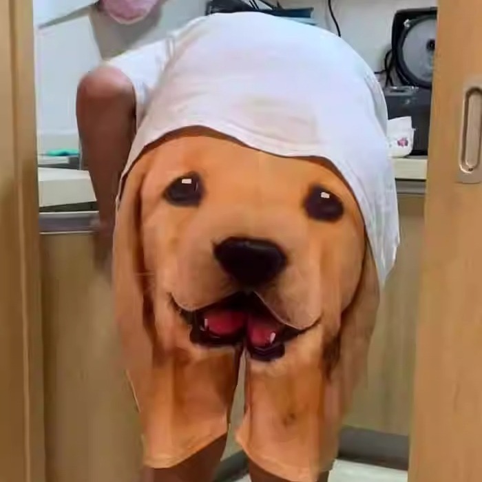 Custom Dog Face Funny Beach Trunks Men's Boxer Briefs - 