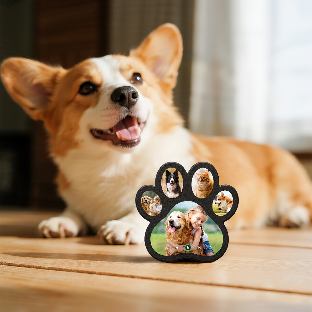 Custom Music Fridge Magnet Personalized Paw Print Song Magnets That Can Play Music Anniversary Gifts for Pet Lovers