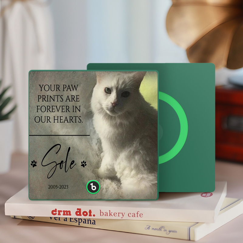 Custom Music Fridge Magnet Personalized Pet Photo & Name Magnet for Fridge That Can Play Songs Memorial Gifts for Pet Lover