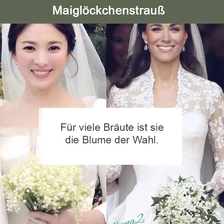 [💣Die Parfümbombe der Natur💣] Maiglöckchenblüten - Hinweis: 5 Stück pro Beutel verpackt