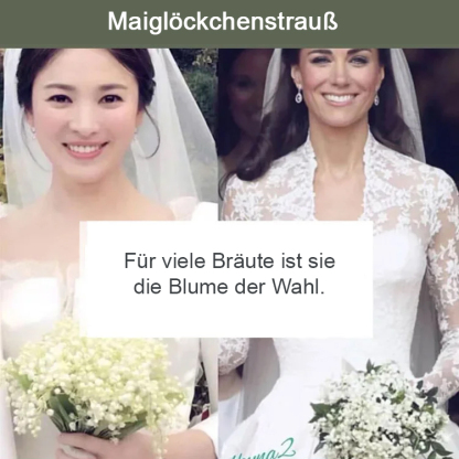 [💣Die Parfümbombe der Natur💣] Maiglöckchenblüten - Hinweis: 5 Stück pro Beutel verpackt