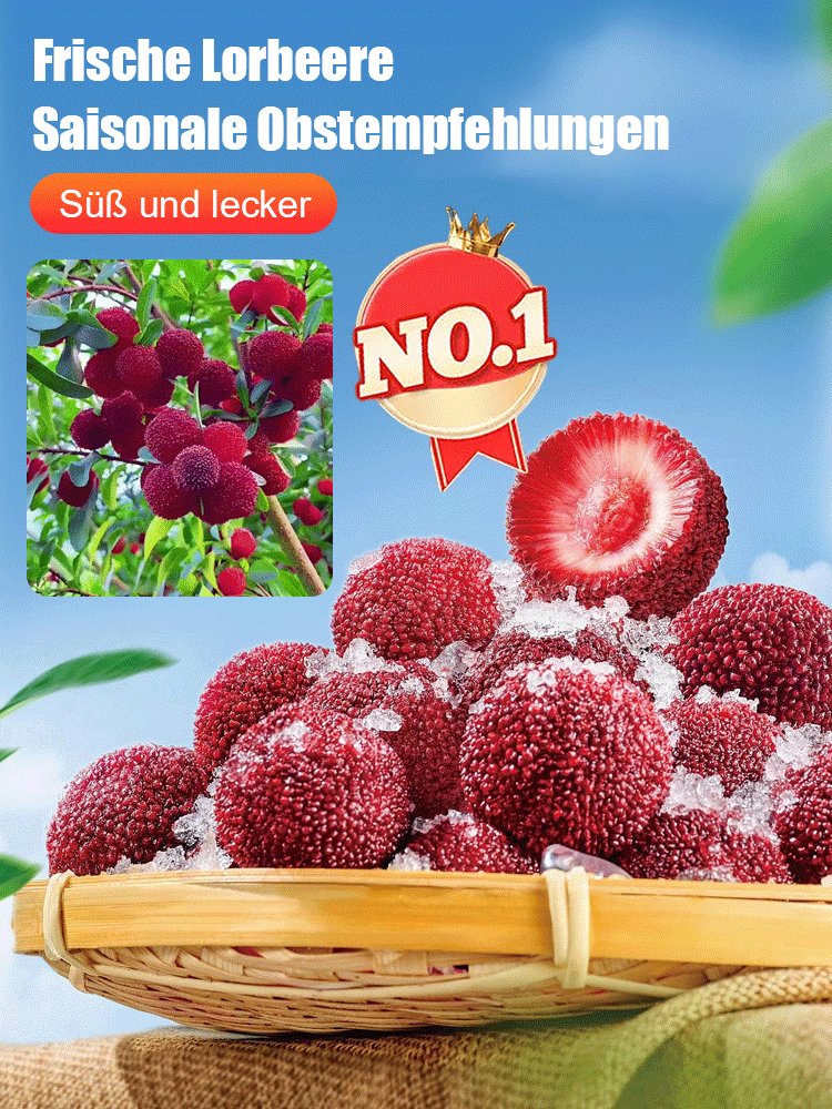 【Direkt aus der Altes Land-Aufzuchtstation】500 g Myrica (Yangmei) kosten sonst mindestens 10 €, jetzt bekommen Sie für nur 35 € eine ganze Saison lang erntefrische Früchte!