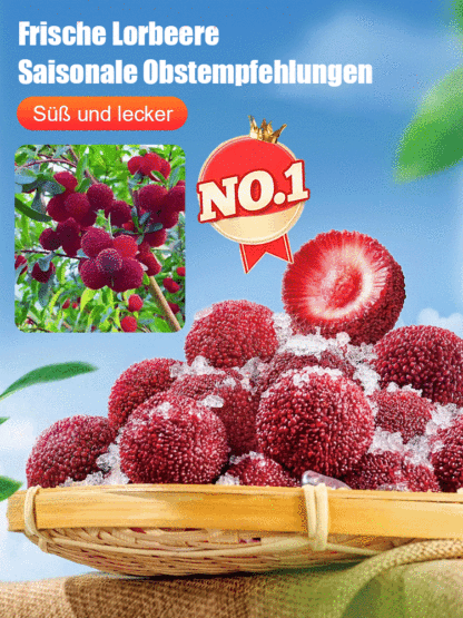 【Direkt aus der Altes Land-Aufzuchtstation】500 g Myrica (Yangmei) kosten sonst mindestens 10 €, jetzt bekommen Sie für nur 35 € eine ganze Saison lang erntefrische Früchte!