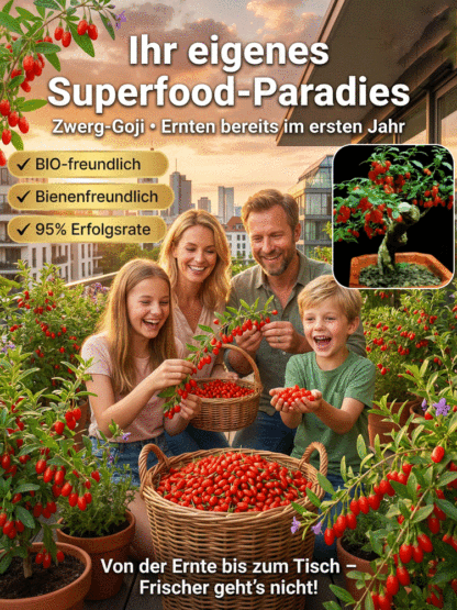 【Exklusives 1+1 Gratis】Dwarf Goji-Setzling | Versandkostenfrei in DE | Ihr privater Vital-Garten | 95% Anwuchsgarantie | Ernte bereits im Juli✨