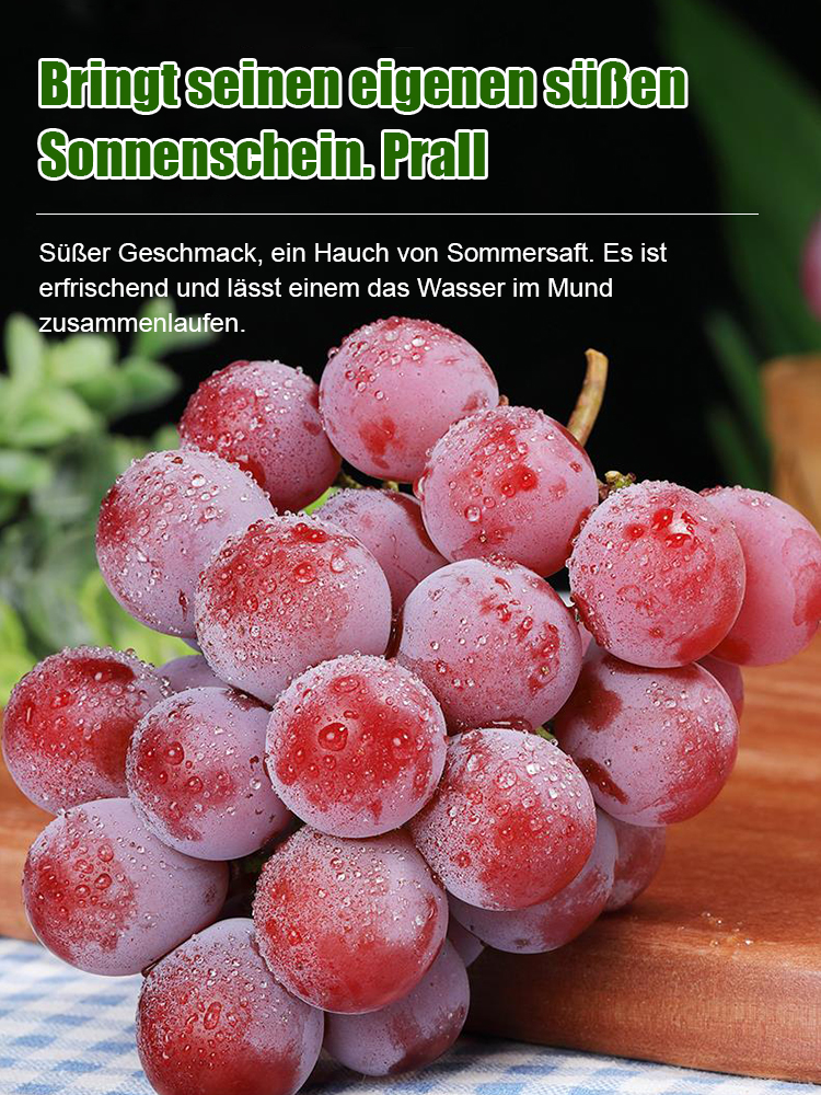【100% Keimungsrate】Queen Nina Gourmet-Weintrauben ✨Geisenheim-Selektion ✨ Winterhart bis -20°C ✨ Edles Wein-Aroma 🍇🍷