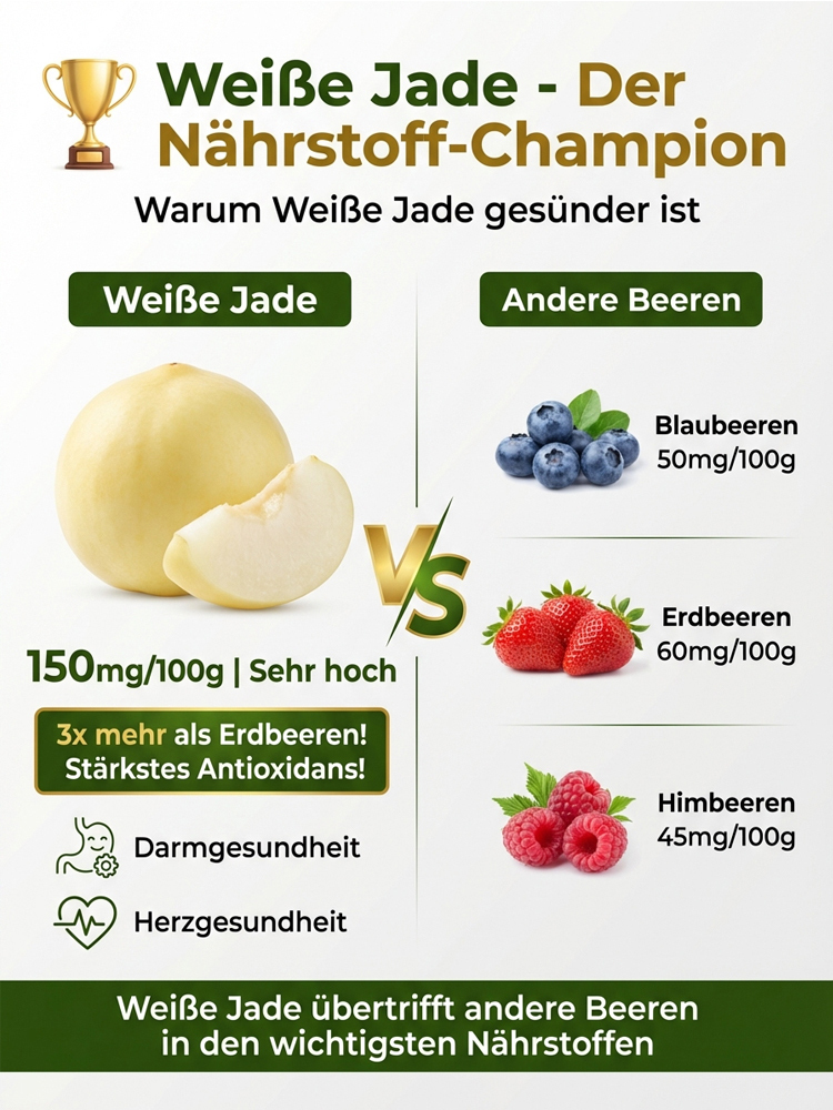 Premium Pfirsichbaum "Golden Glory" (Profi-Veredelung)– Winterhart bis -32°C, Selbstfruchtend & Ernte im 1. Jahr (2-jähriger Baum)