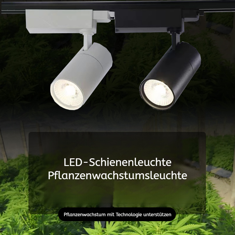 Vollspektrum LED Pflanzenlampe für Gartenbau, Sukkulenten und Blumenläden