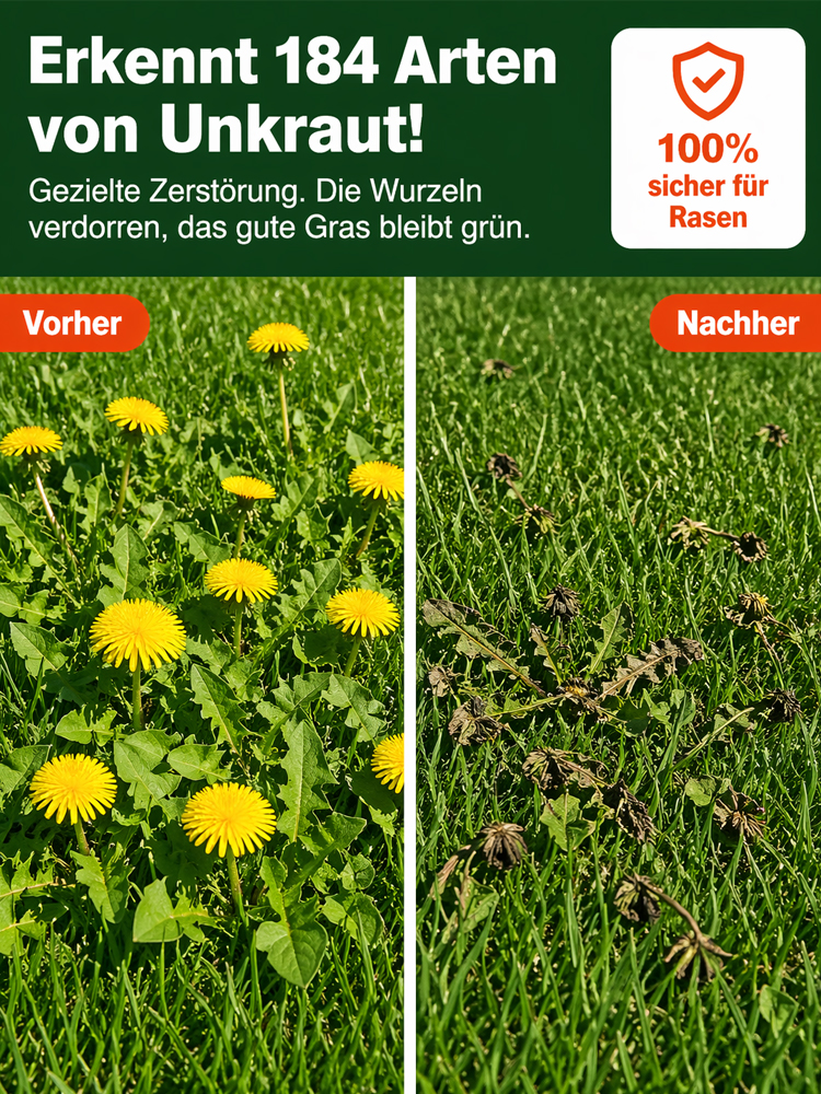 Einmal sprühen, 5 Jahre Ruhe: Gen-basierte Unkrautvernichtung mit Langzeitwirkung