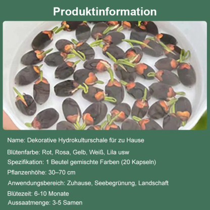 【Transport und Reichtum】Samen für wassergezogene Lotosblumen