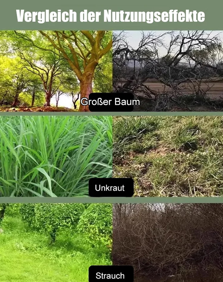 Hexazinon Profi Baum- und Wurzelvernichter ✨ Direkte Stamm-Injektion ohne Sägen ✨ Regenfest und Präzise 🌳