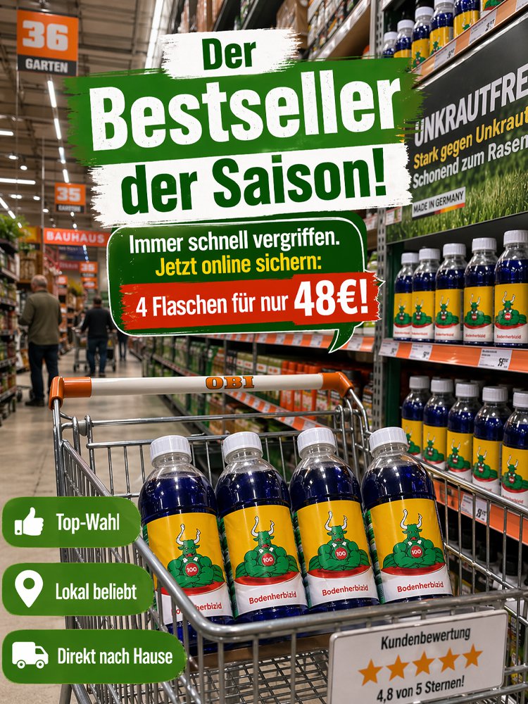 banner10.jpg