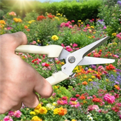 Gartenschere für Obstbäume, Astschere, Blumenschneider, Erntewerkzeug