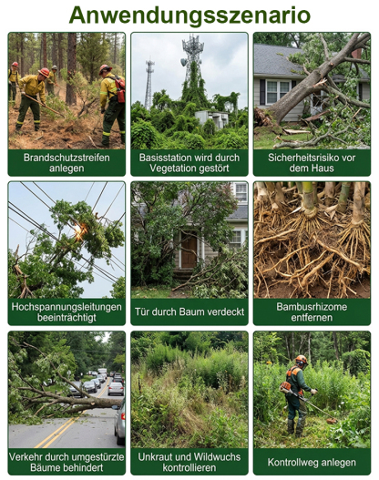 Hexazinon Profi Baum- und Wurzelvernichter ✨ Direkte Stamm-Injektion ohne Sägen ✨ Regenfest und Präzise 🌳