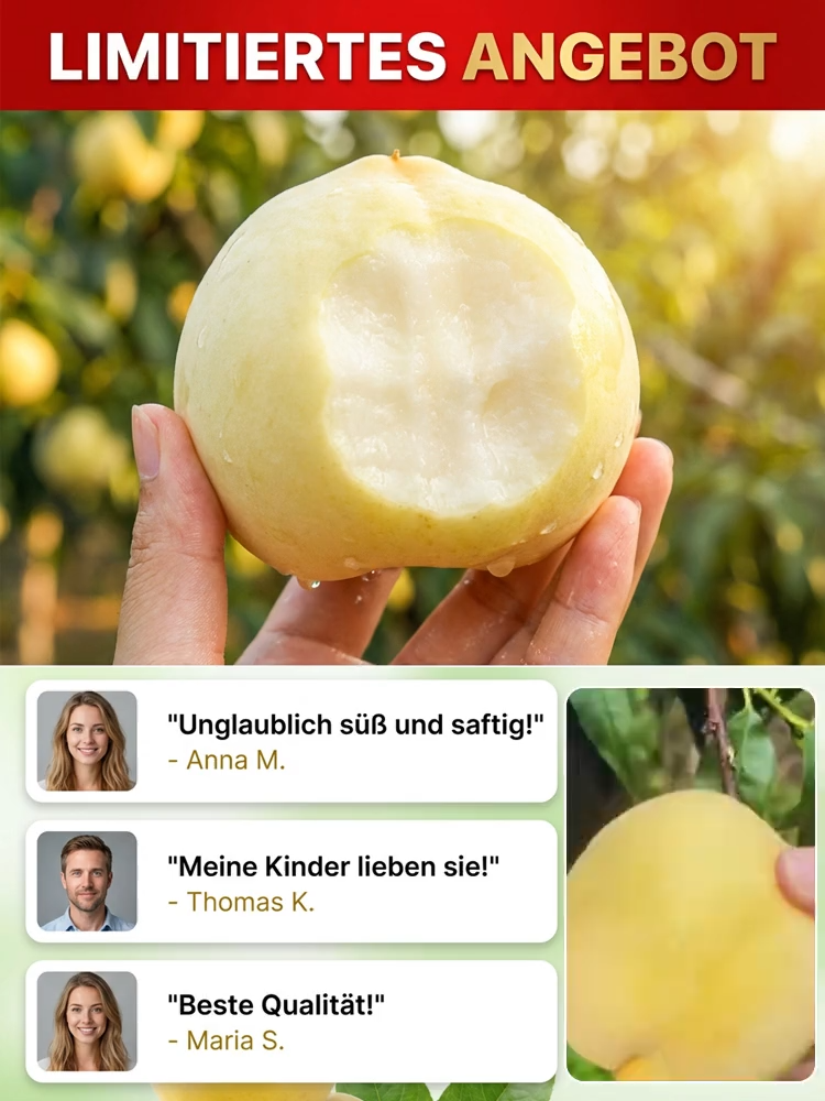 Premium Pfirsichbaum "Golden Glory" (Profi-Veredelung)– Winterhart bis -32°C, Selbstfruchtend & Ernte im 1. Jahr (2-jähriger Baum)