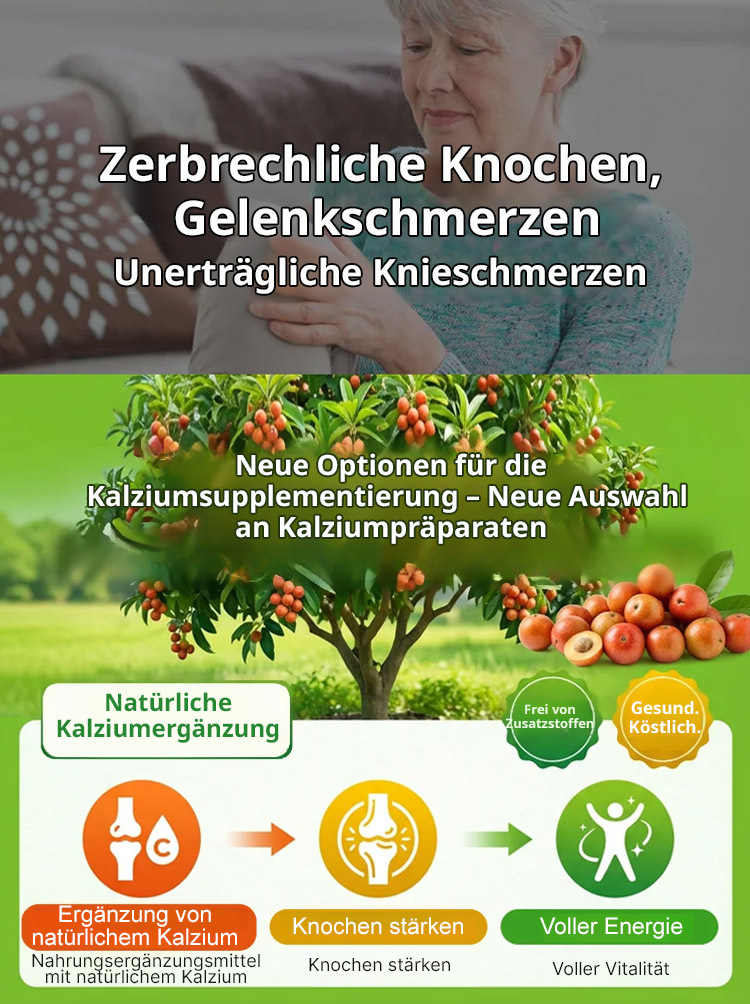 【Nur 200 Stück: 1 kaufen, 1 gratis】 Zweijährige, ausgereifte Jungbäume – direkt von der Baumschule ❤️ Jetzt pflanzen, Ernte ab Mai! Bis zu 80 kg Früchte pro Baum und Jahr.