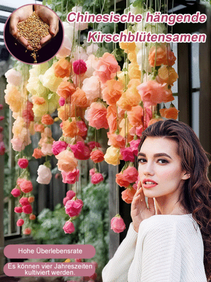 Die Königin der Blumen【Hängende Apfelblüten-Samen】Vier Jahreszeiten geeignet