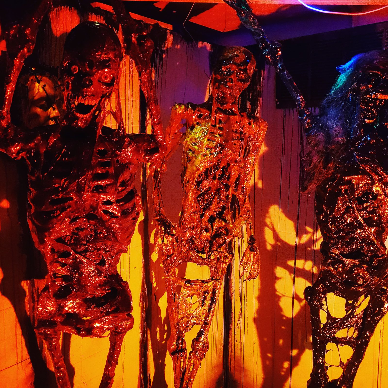 Slideshow image 7