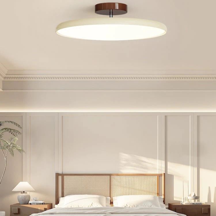 Hailie Lampada Soffitto Minimalist Metallo Acrilico Camera Soggiorno