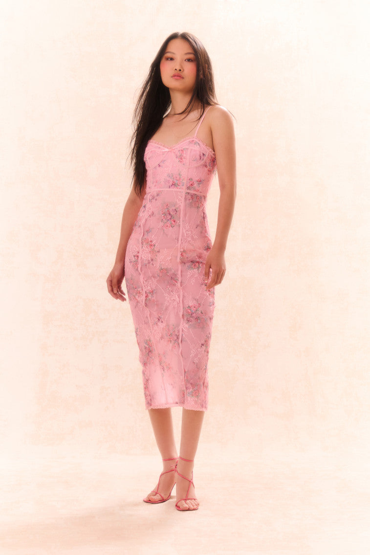 Tresor Lace Bustier Midi Dress-morningim