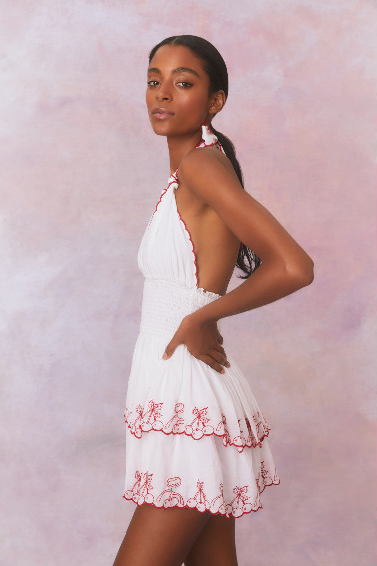 Dormina Cherry Embroidered Cotton Mini Dress-morningim