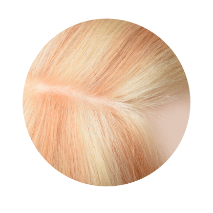 Meiverah Natural-Looking Handmade Full Hand-tied PU Mono Lace NO Bangs Clip-In Women Toupee -（P613/27A#）