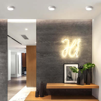 Quinn Moderno LED Lámpara de Techo Cilíndrico Blanco/Negro/Gris Dormitorio Metal/Acrílico