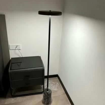 Axis Modern Oblique Floor lamp