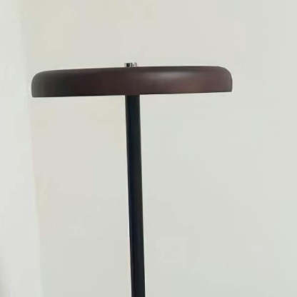 Axis Modern Oblique Floor lamp