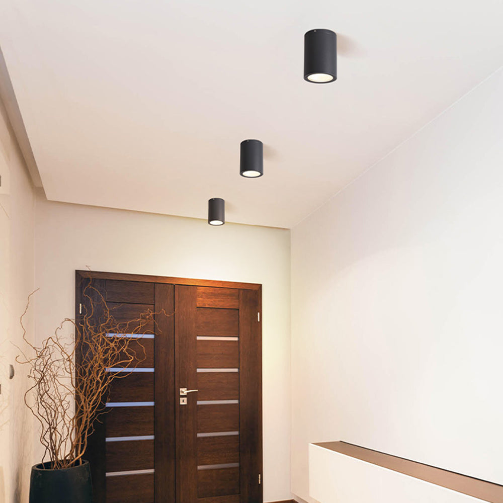 Orr Moderna Cilíndrica LED Metal Lámpara De Techo Exterior