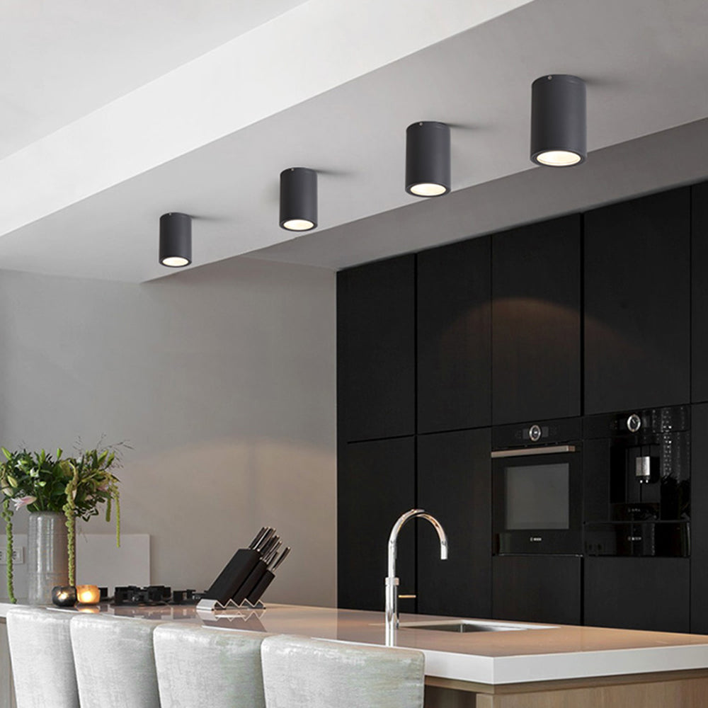 Orr Moderna Cilíndrica LED Metal Lámpara De Techo Exterior