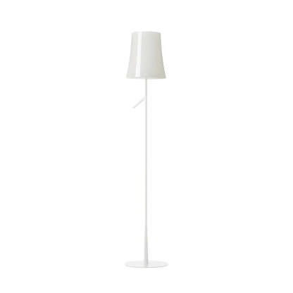 Axis Modern Slim Metal Floor Lamp