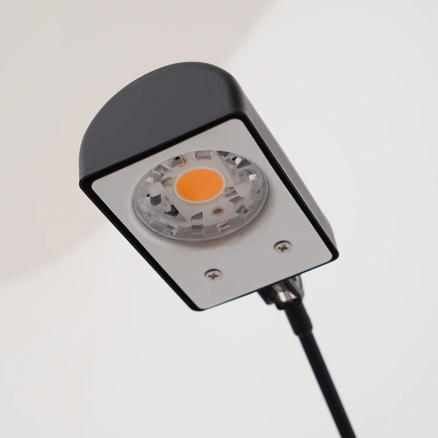 Axis Daphine Floor Lamp
