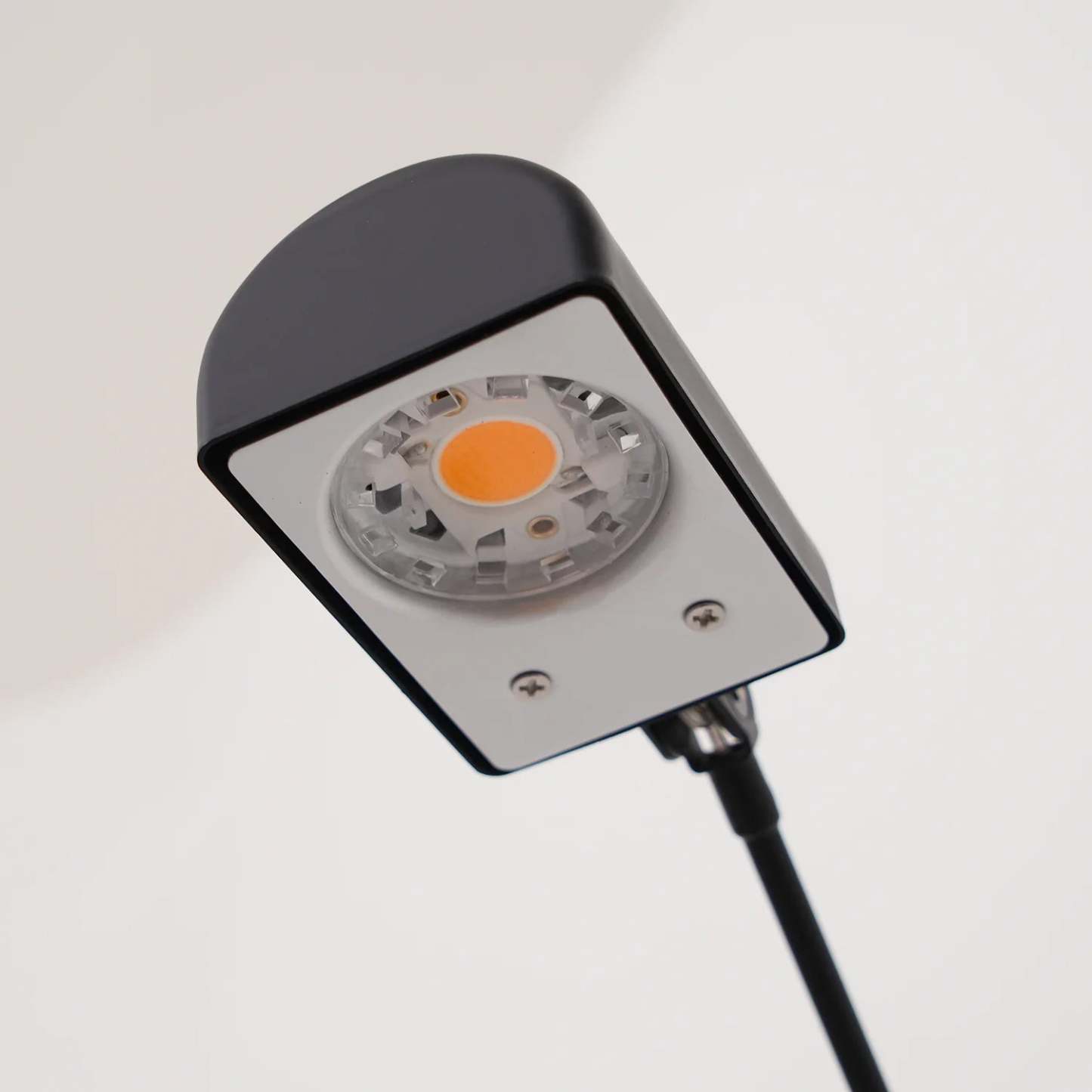 Axis Daphine Floor Lamp