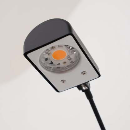 Axis Daphine Floor Lamp