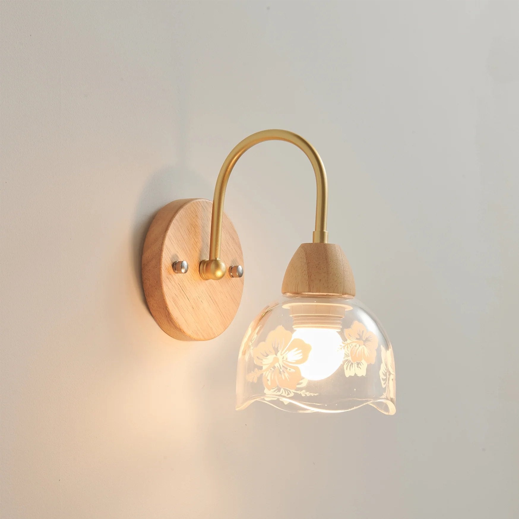 Hakka Vintage Glass Wood Wall Light Brass