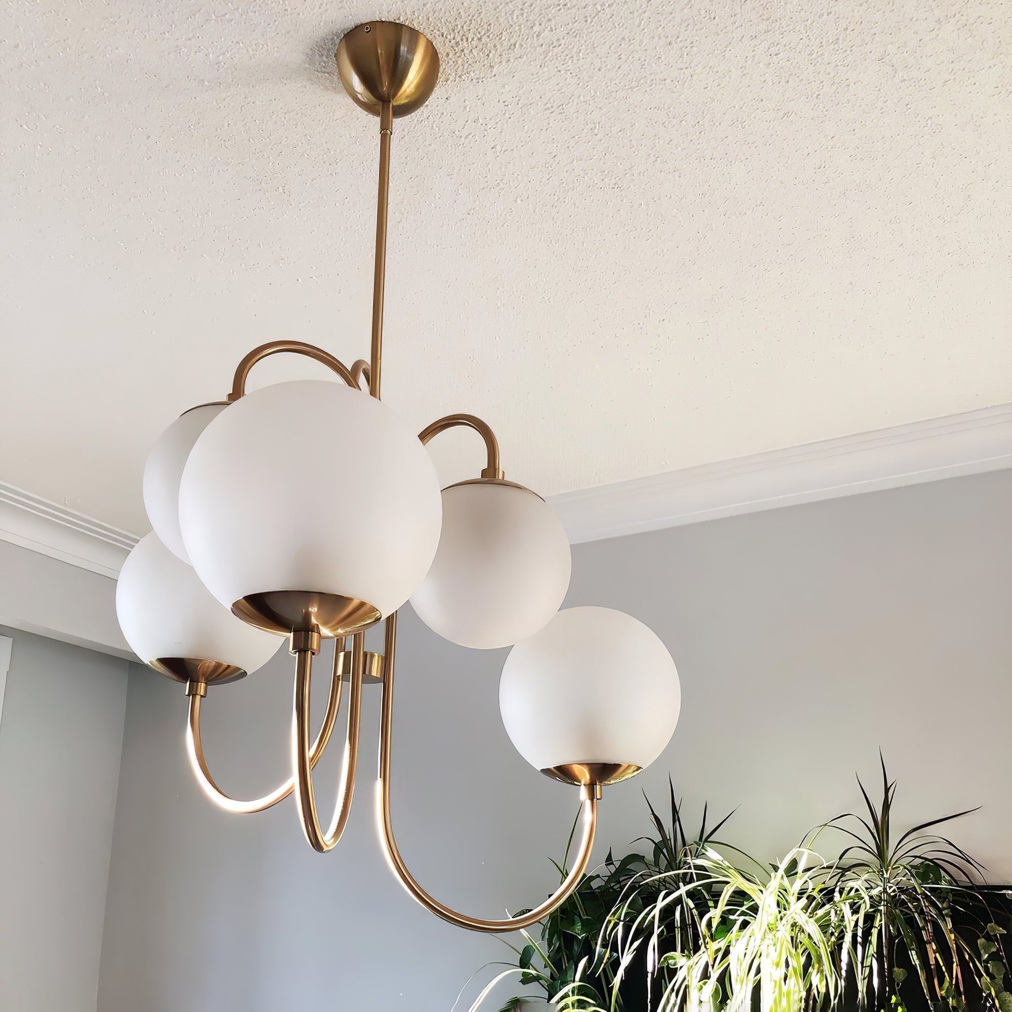 Artelux Gooseneck Chandelier