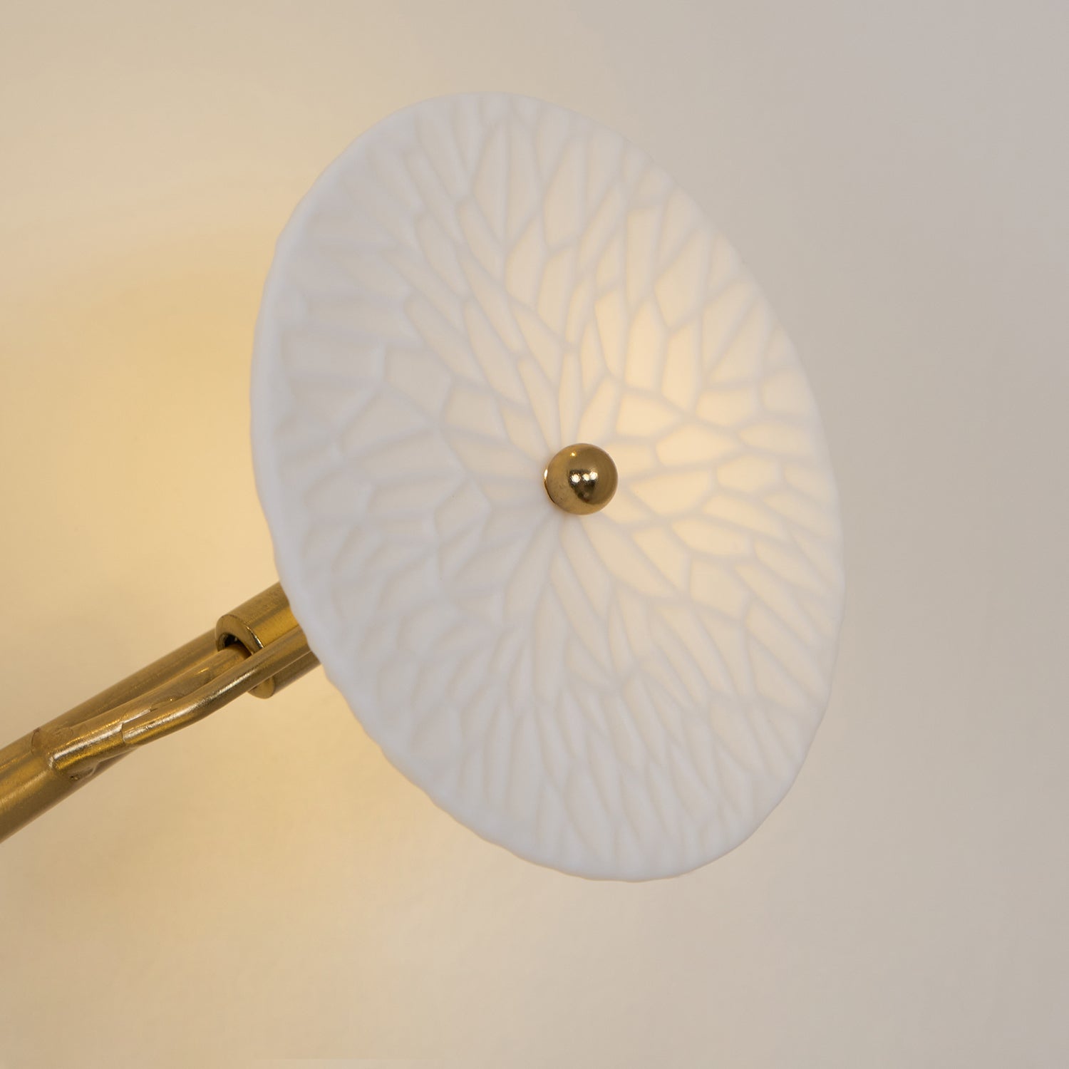 Hakka Contemporary Ceramic Brass Lotus Petal Wall Light
